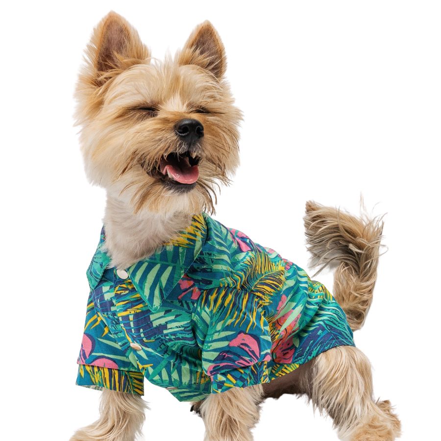 Guayabera para mascota honolulu, , large image number null